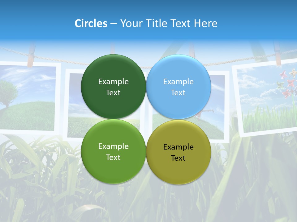 Spring PowerPoint Template