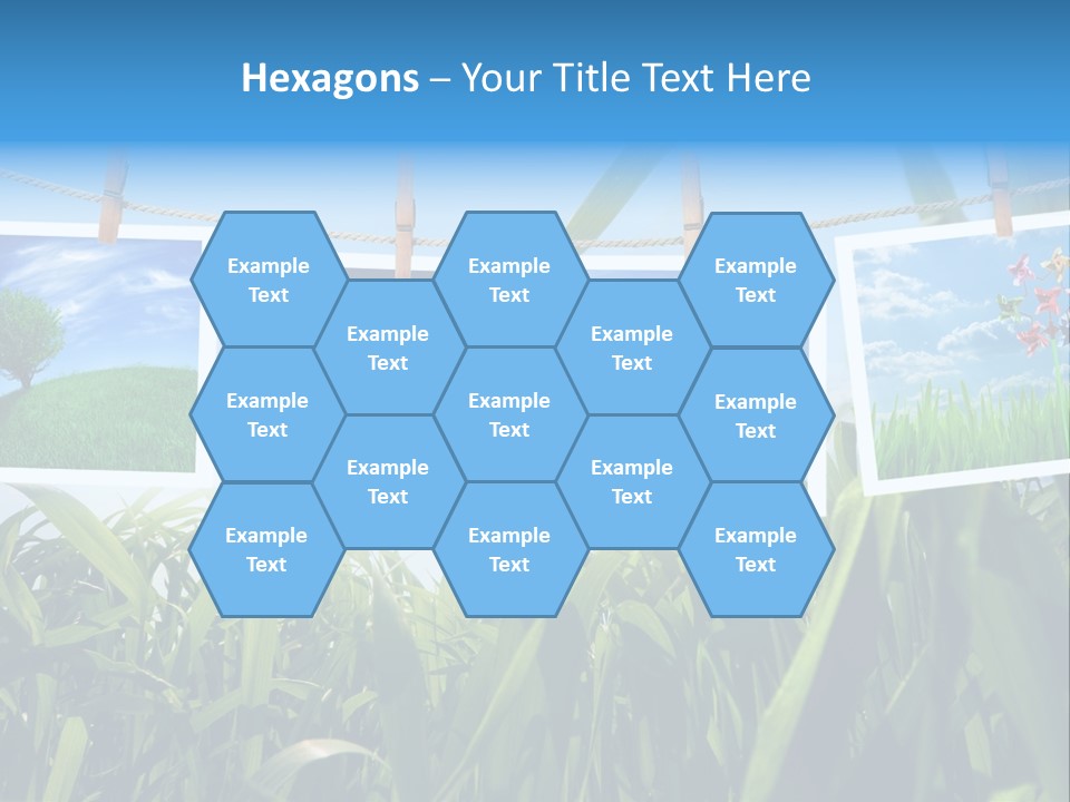 Spring PowerPoint Template