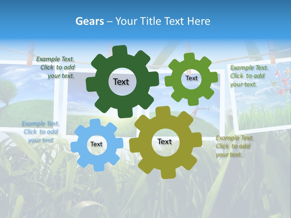 Spring PowerPoint Template