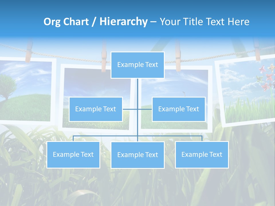 Spring PowerPoint Template