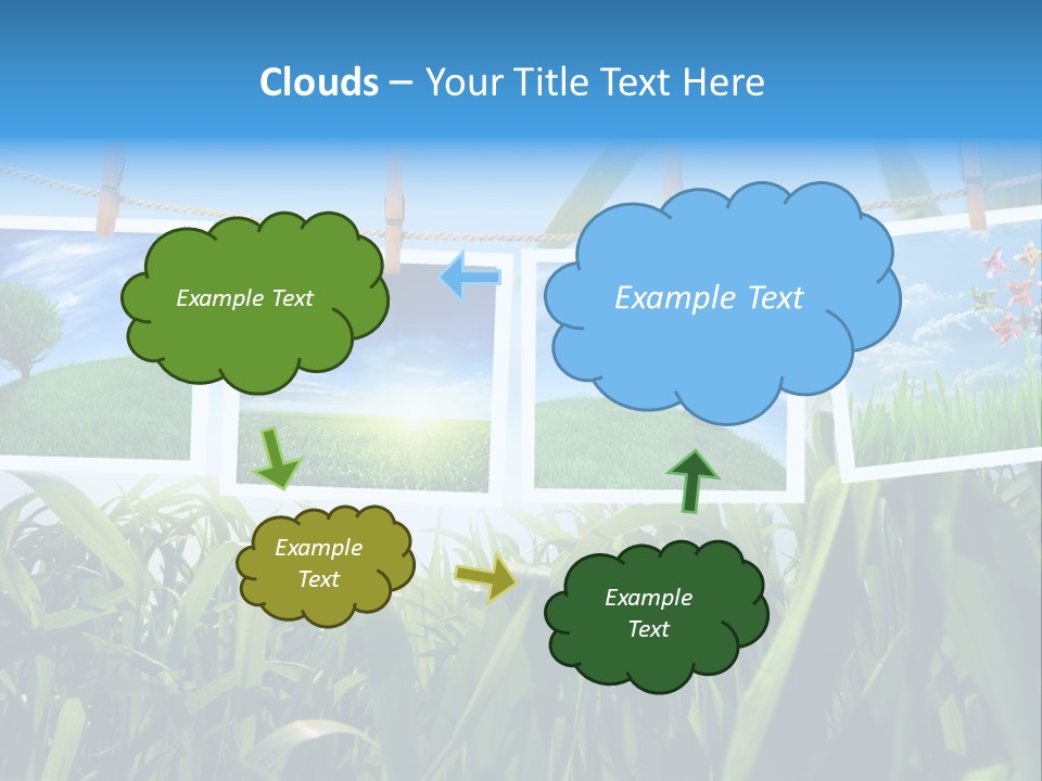 Spring PowerPoint Template