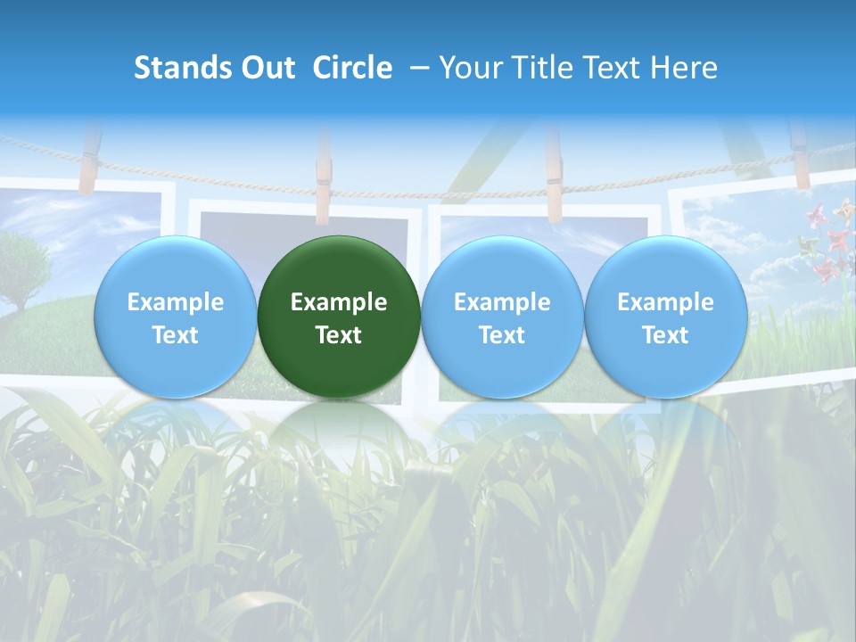 Spring PowerPoint Template