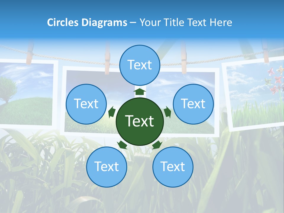 Spring PowerPoint Template