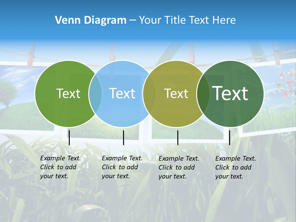 Spring PowerPoint Template