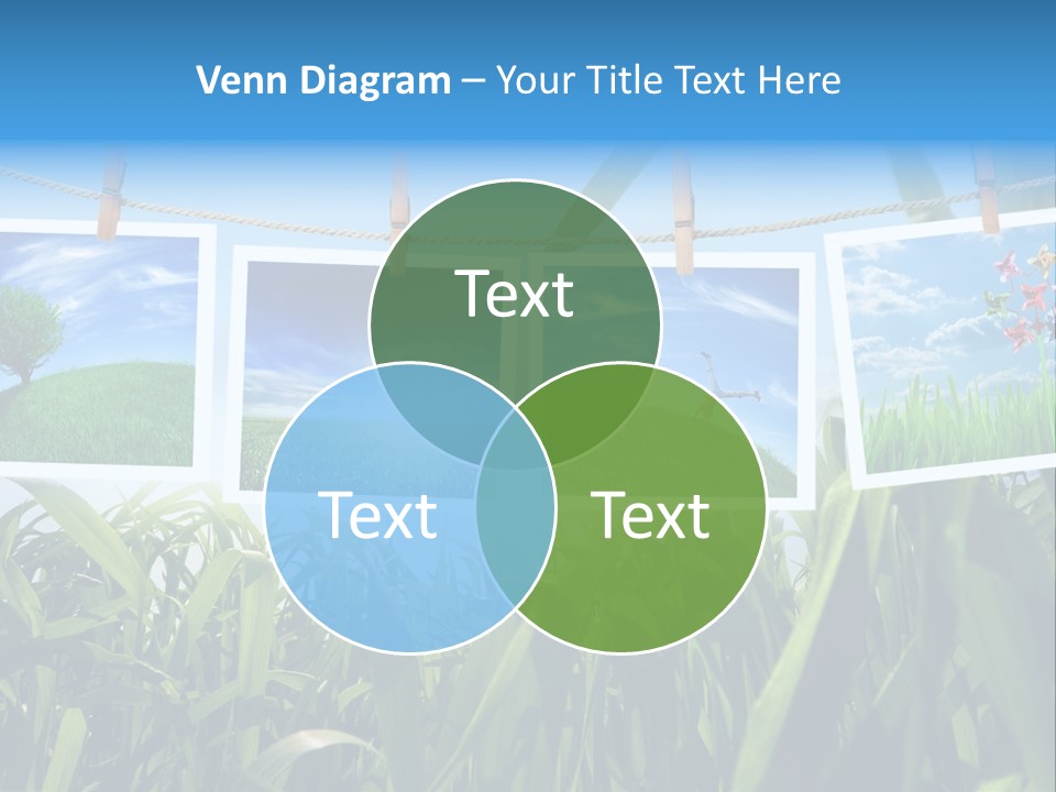 Spring PowerPoint Template