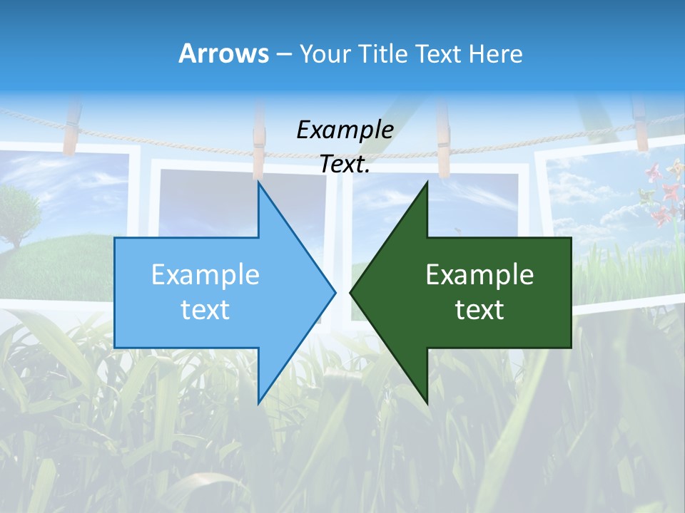Spring PowerPoint Template