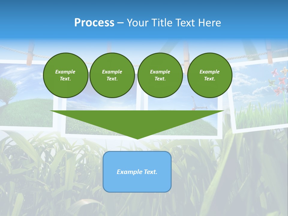 Spring PowerPoint Template
