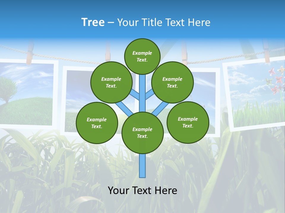 Spring PowerPoint Template