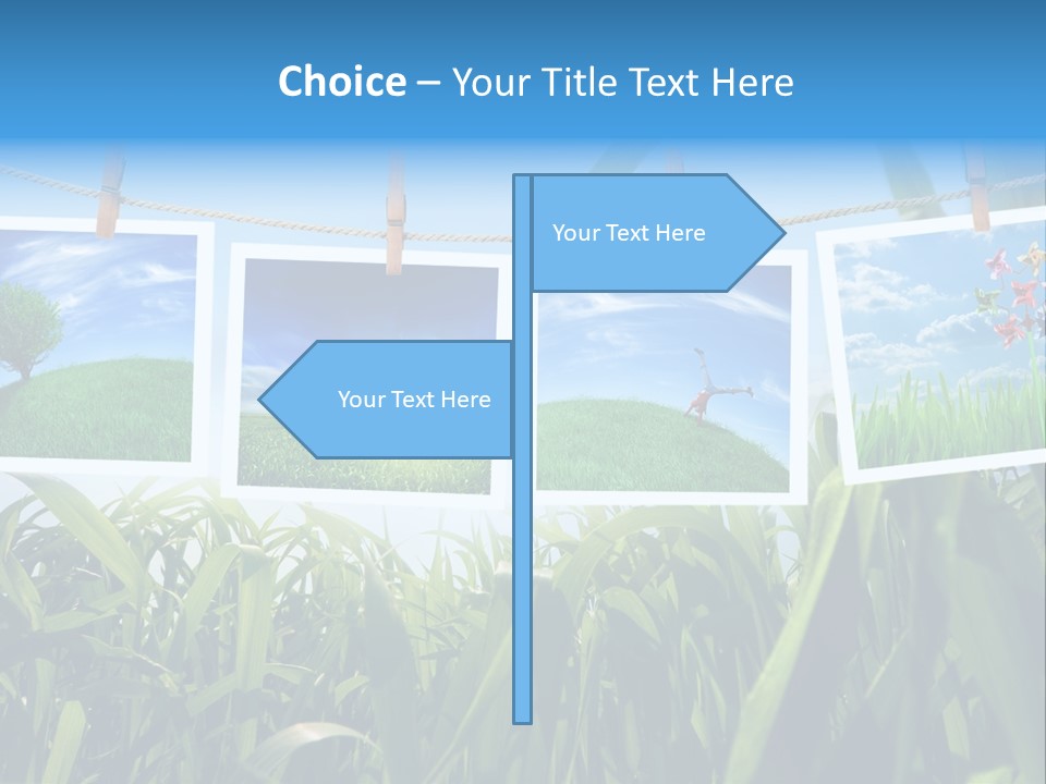 Spring PowerPoint Template