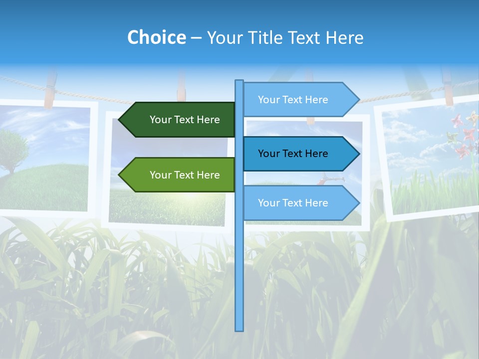 Spring PowerPoint Template