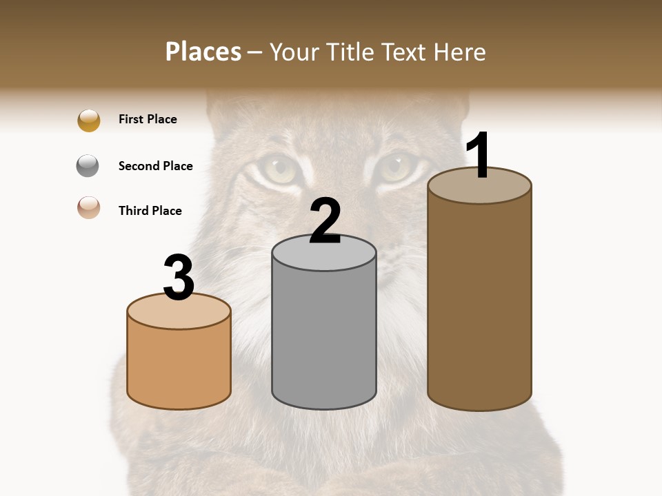 Eurasian Lynx PowerPoint Template