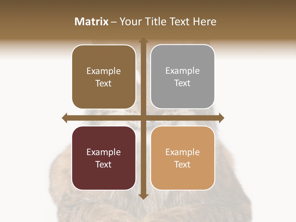 Eurasian Lynx PowerPoint Template