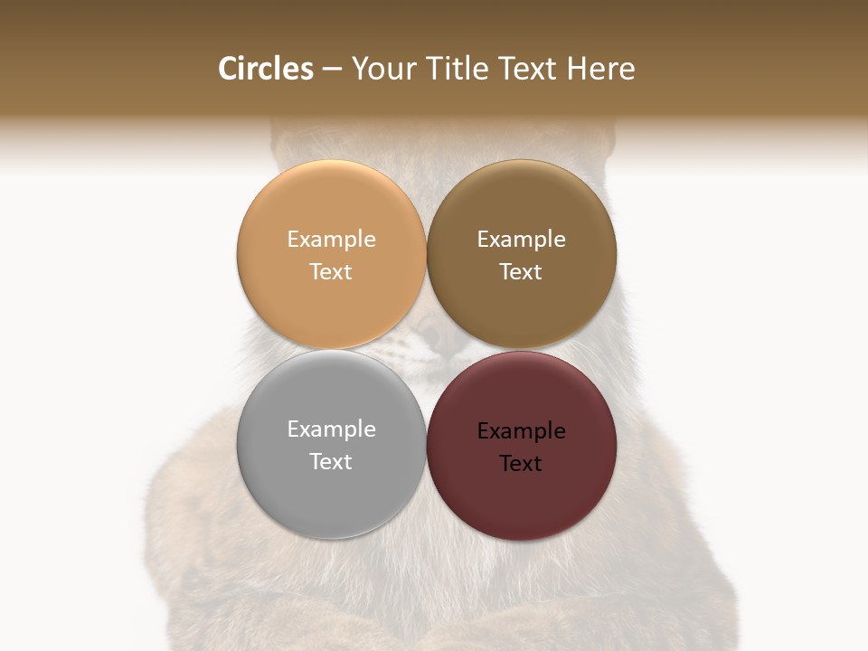 Eurasian Lynx PowerPoint Template