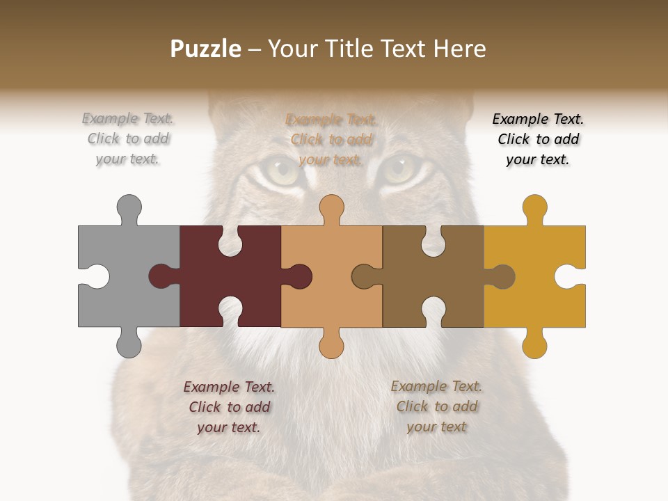 Eurasian Lynx PowerPoint Template