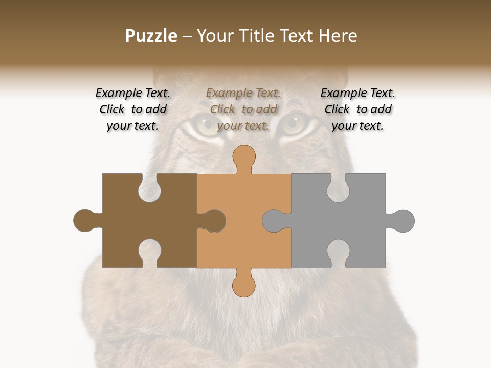 Eurasian Lynx PowerPoint Template