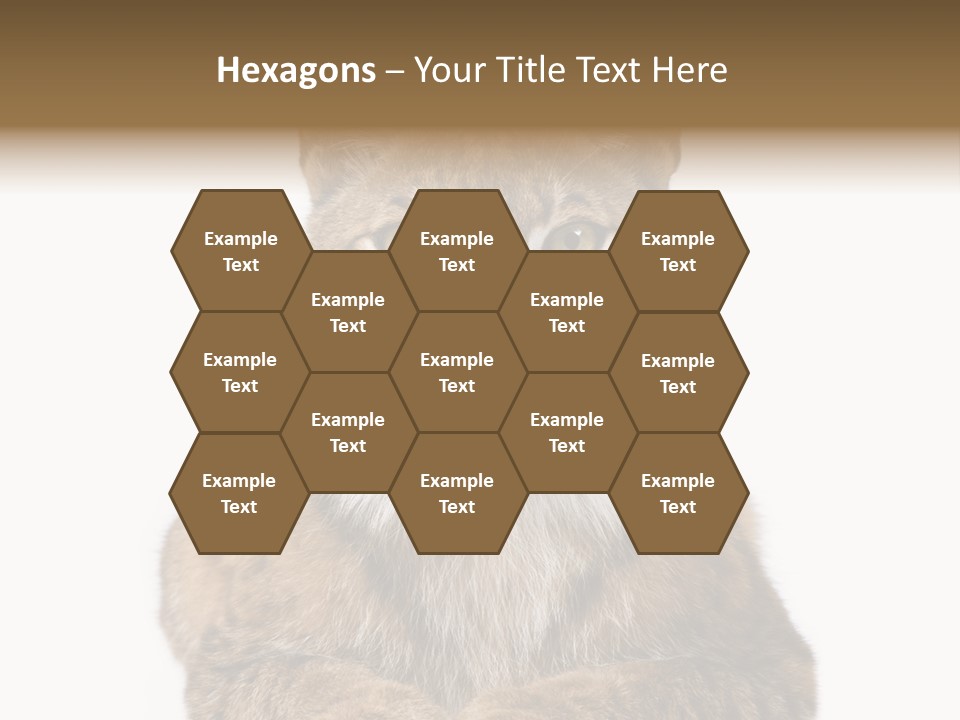 Eurasian Lynx PowerPoint Template