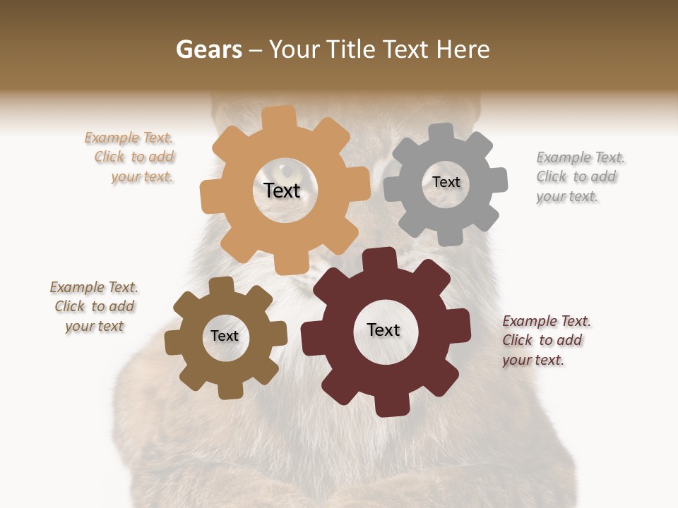 Eurasian Lynx PowerPoint Template