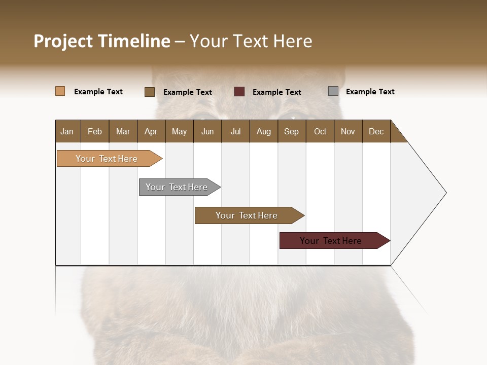 Eurasian Lynx PowerPoint Template