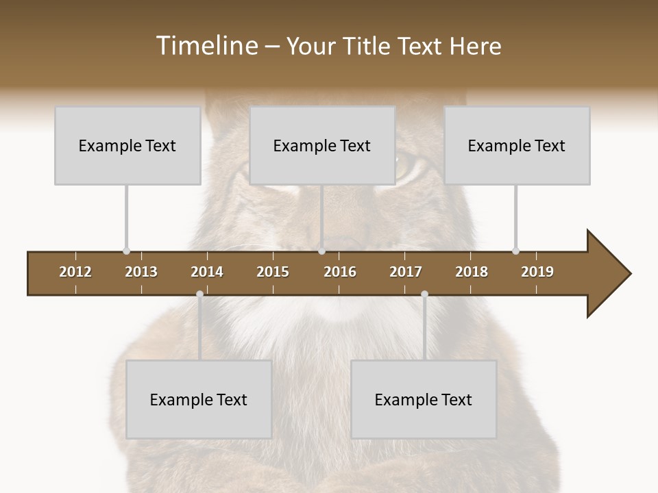 Eurasian Lynx PowerPoint Template