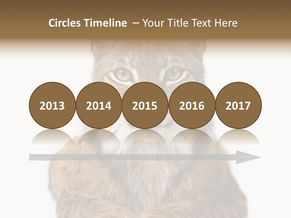 Eurasian Lynx PowerPoint Template