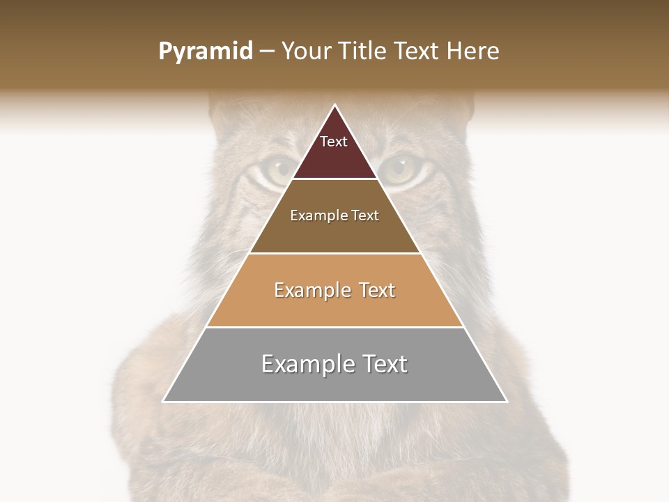 Eurasian Lynx PowerPoint Template