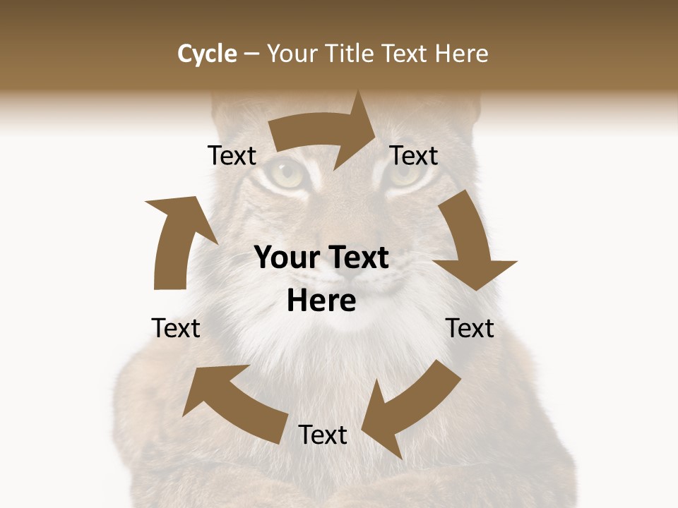 Eurasian Lynx PowerPoint Template