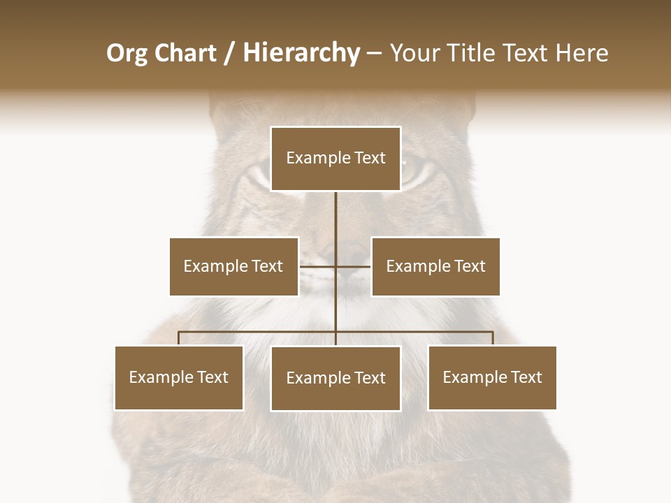 Eurasian Lynx PowerPoint Template