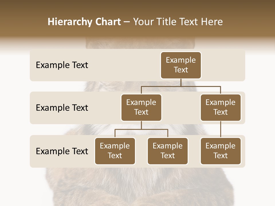 Eurasian Lynx PowerPoint Template