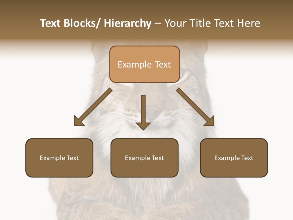 Eurasian Lynx PowerPoint Template
