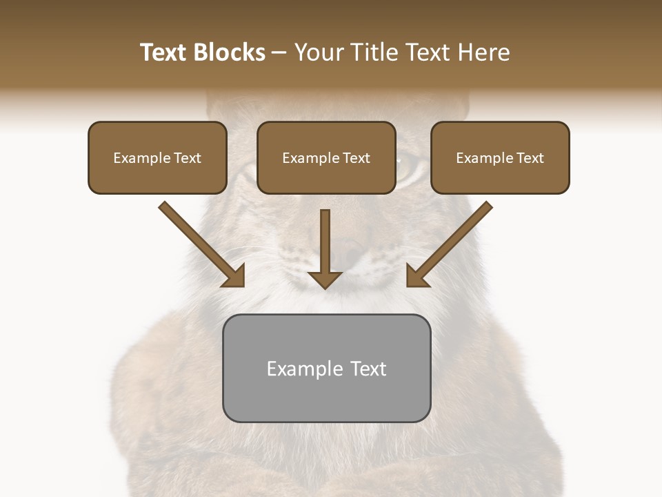 Eurasian Lynx PowerPoint Template