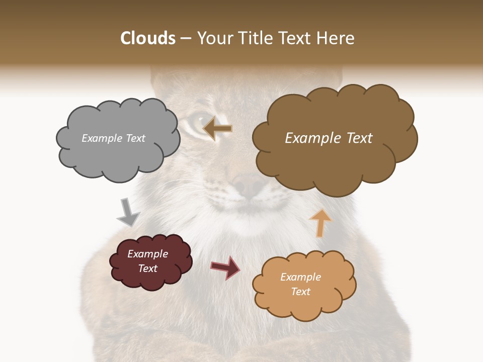 Eurasian Lynx PowerPoint Template