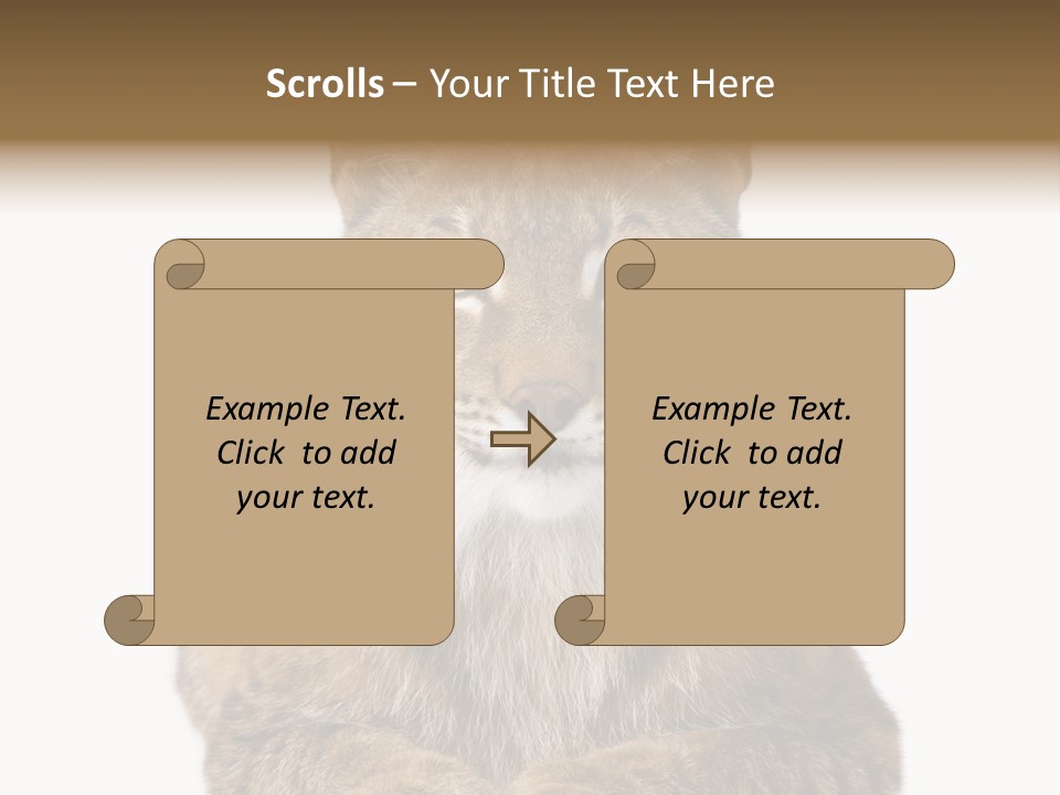 Eurasian Lynx PowerPoint Template