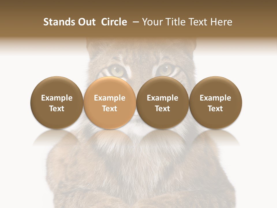 Eurasian Lynx PowerPoint Template