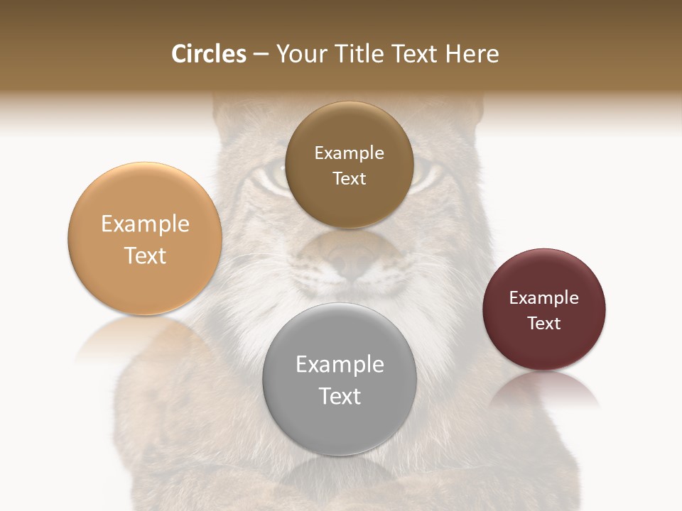 Eurasian Lynx PowerPoint Template