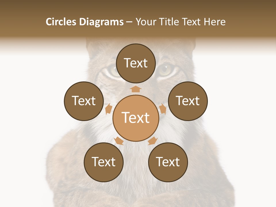 Eurasian Lynx PowerPoint Template