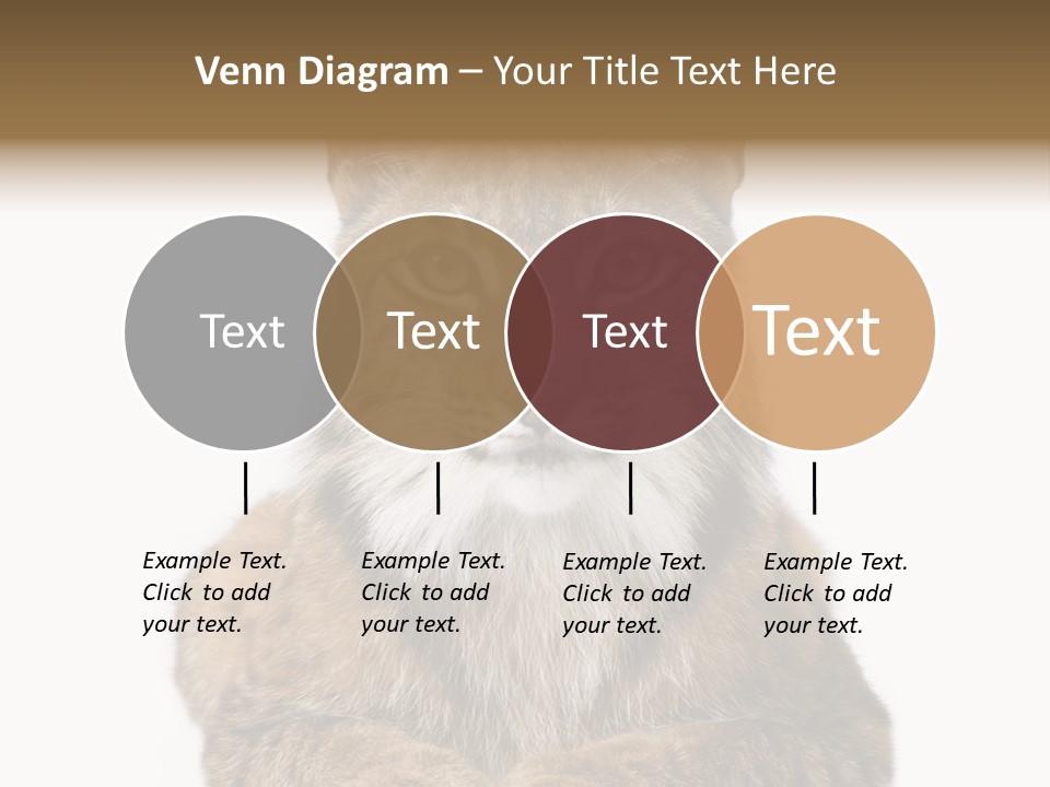 Eurasian Lynx PowerPoint Template