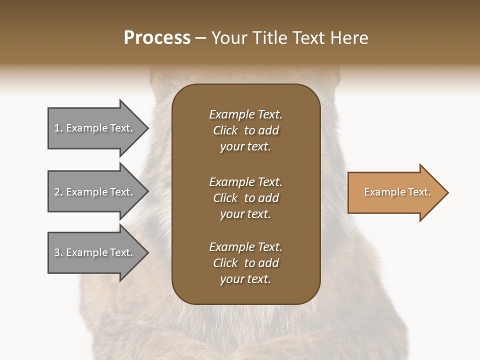 Eurasian Lynx PowerPoint Template