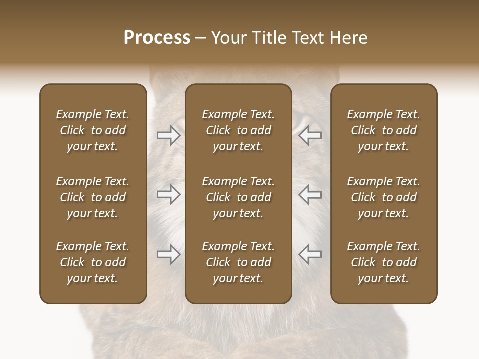 Eurasian Lynx PowerPoint Template