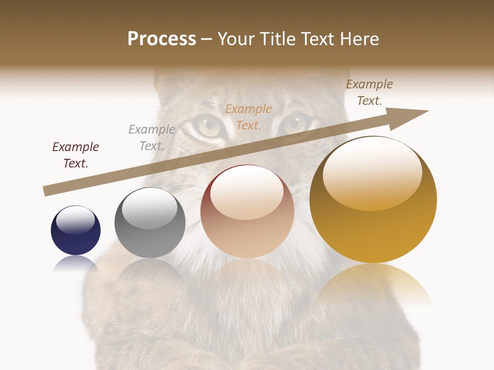 Eurasian Lynx PowerPoint Template