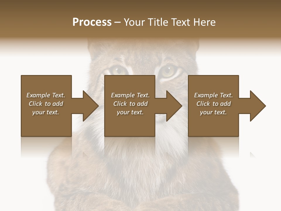 Eurasian Lynx PowerPoint Template