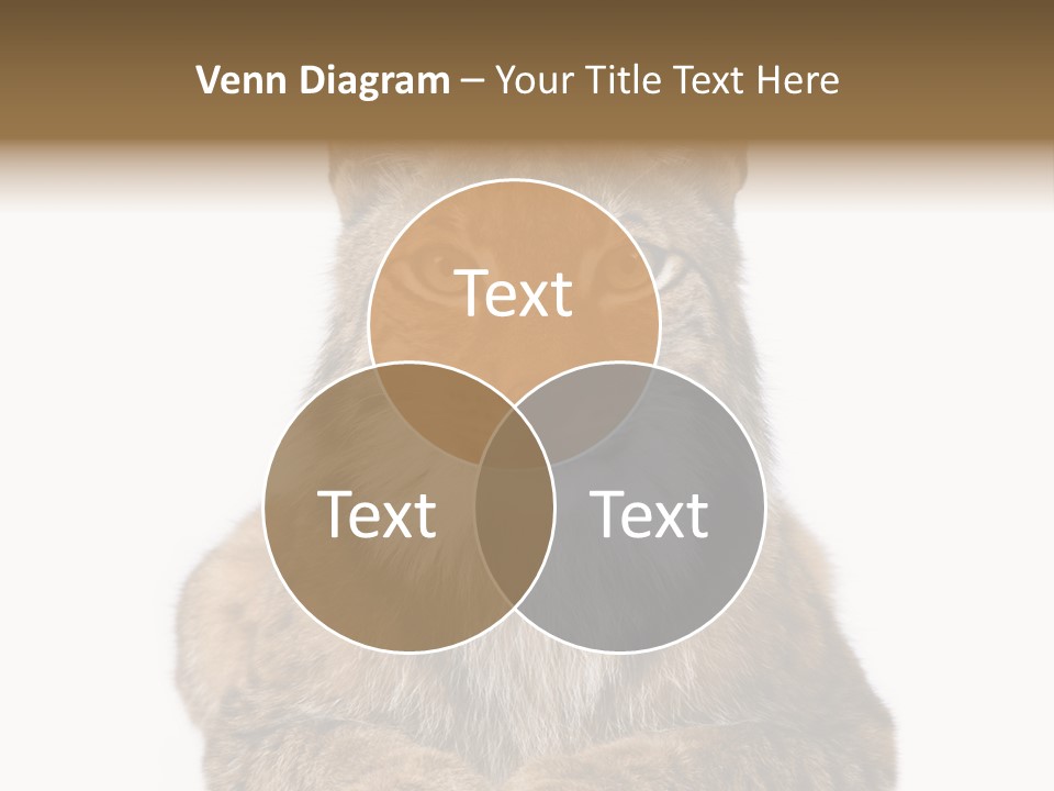 Eurasian Lynx PowerPoint Template