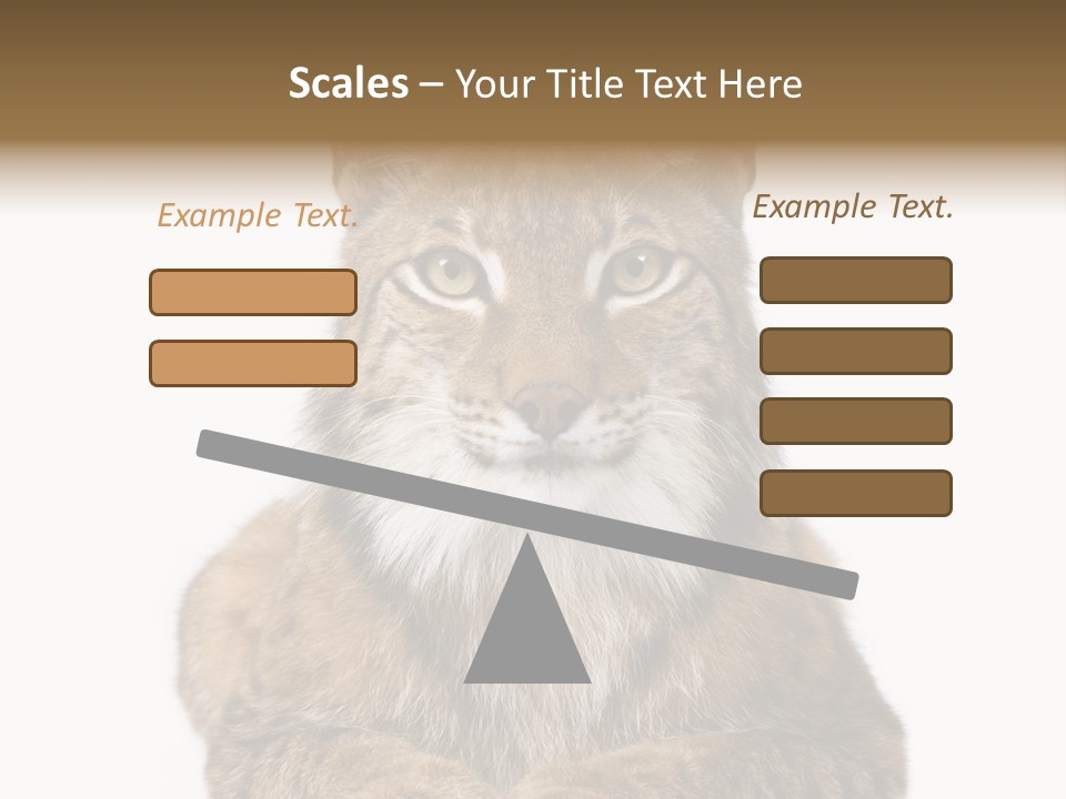 Eurasian Lynx PowerPoint Template
