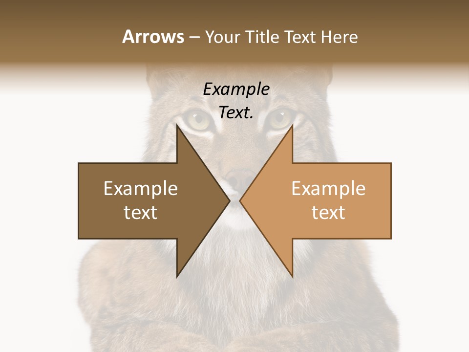 Eurasian Lynx PowerPoint Template