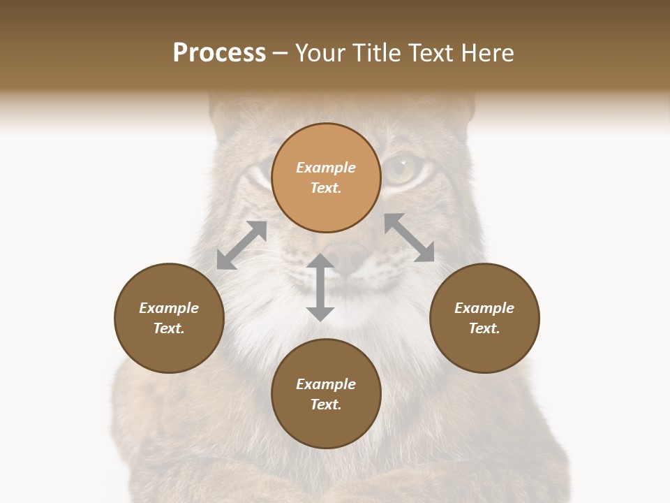 Eurasian Lynx PowerPoint Template