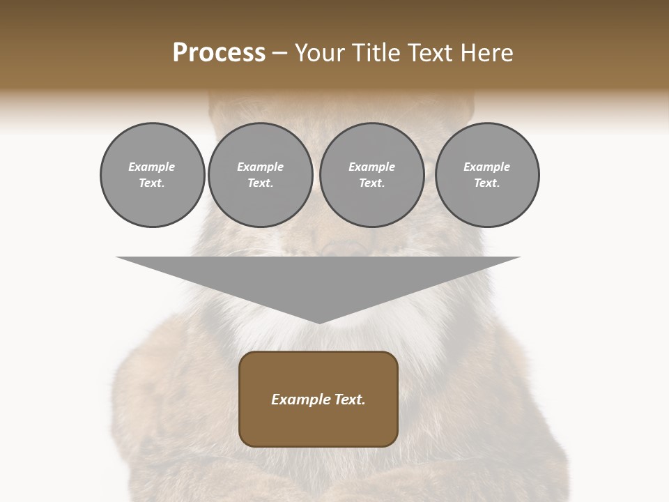 Eurasian Lynx PowerPoint Template