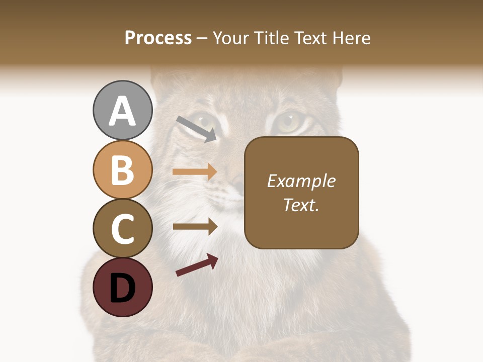 Eurasian Lynx PowerPoint Template