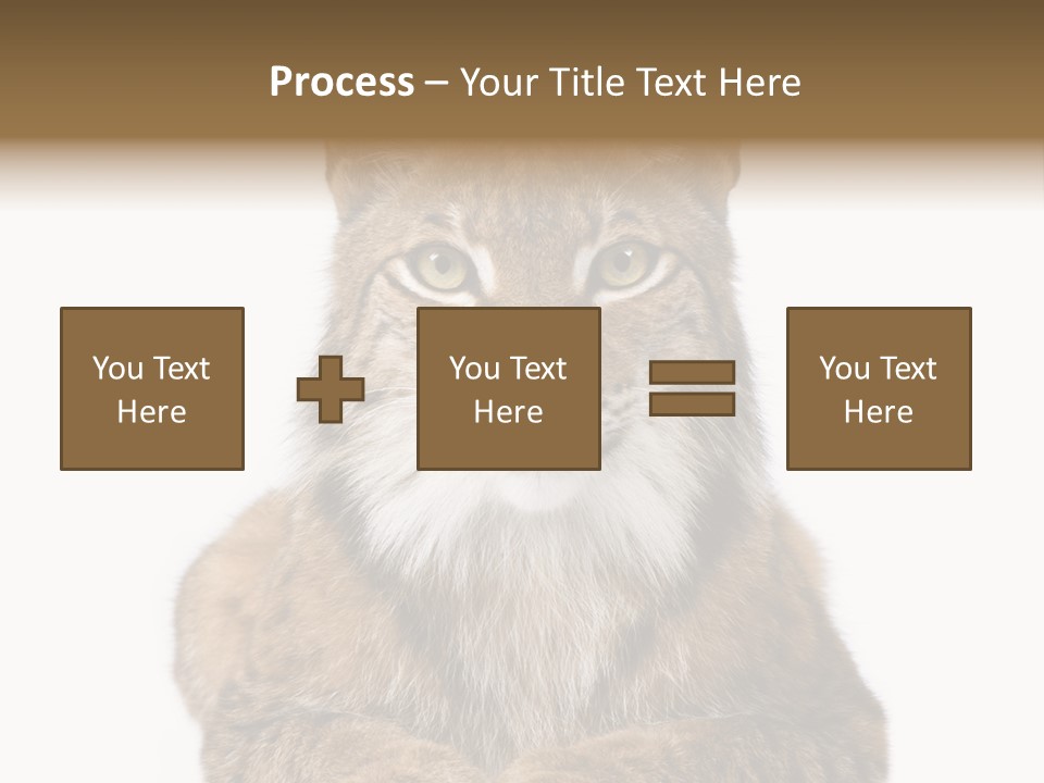 Eurasian Lynx PowerPoint Template