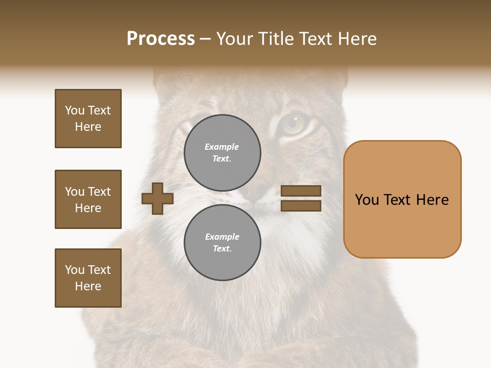 Eurasian Lynx PowerPoint Template