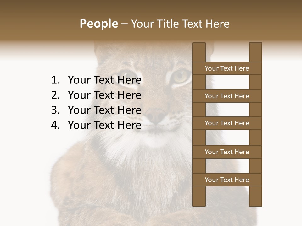 Eurasian Lynx PowerPoint Template