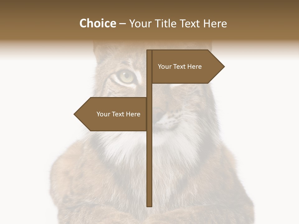 Eurasian Lynx PowerPoint Template